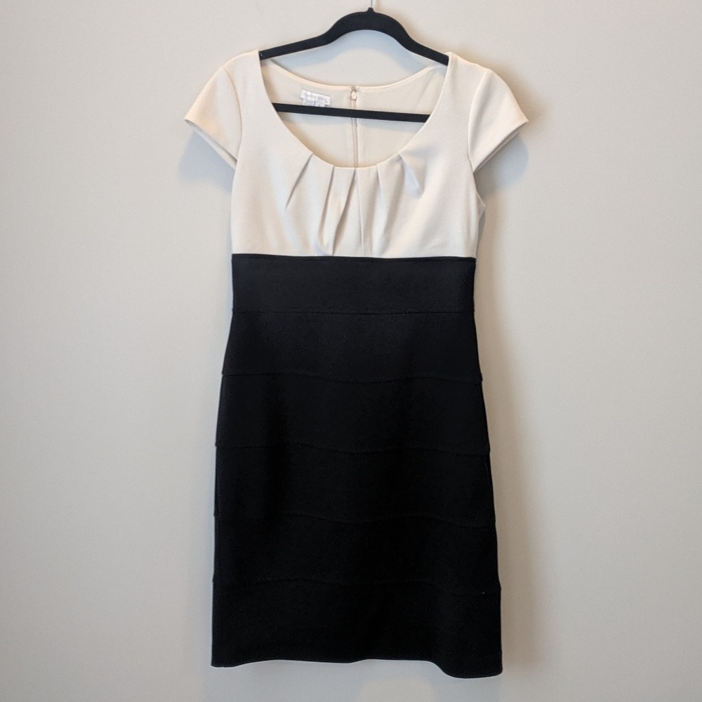 Black and Ivory Knit Dress